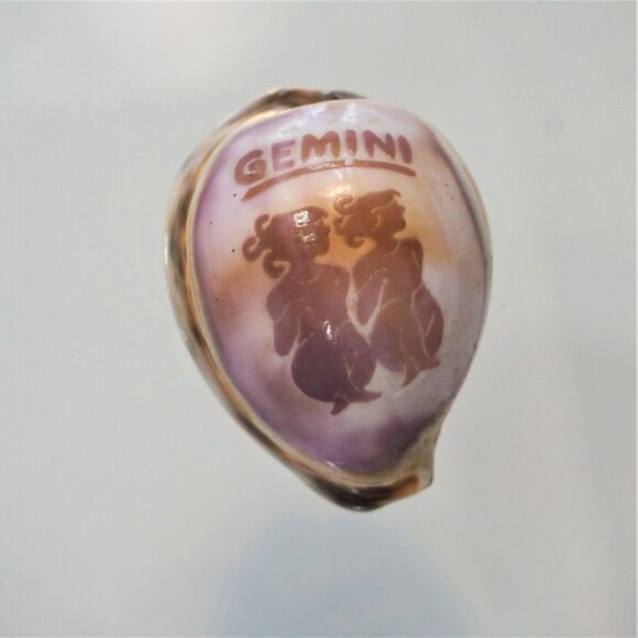 Vintage Cowrie Seashell Gemini Zodiac Sign - Picture 1 of 7